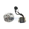 Kit de bobine et le volant 33 decespugliatore E1, Topower 1A Series
