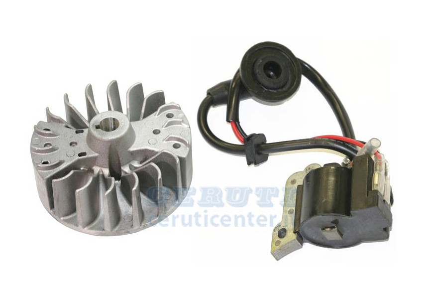 Kit de la bobina y el volante Decespugliatore 26 E1 / pulverizadores 3Wz6F E Sandri Jardín Decespugliatore GBL 34