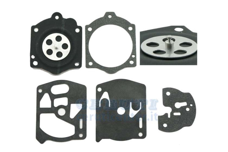 Carburateur à membrane D1 Ws