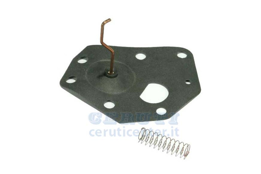 Membranvergaser Für A A Pescante 3, 3,5 Hp Vertikal-Modelle von 92501 zu 96582 Etc.