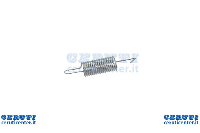 Spring Reg. Dov 100600