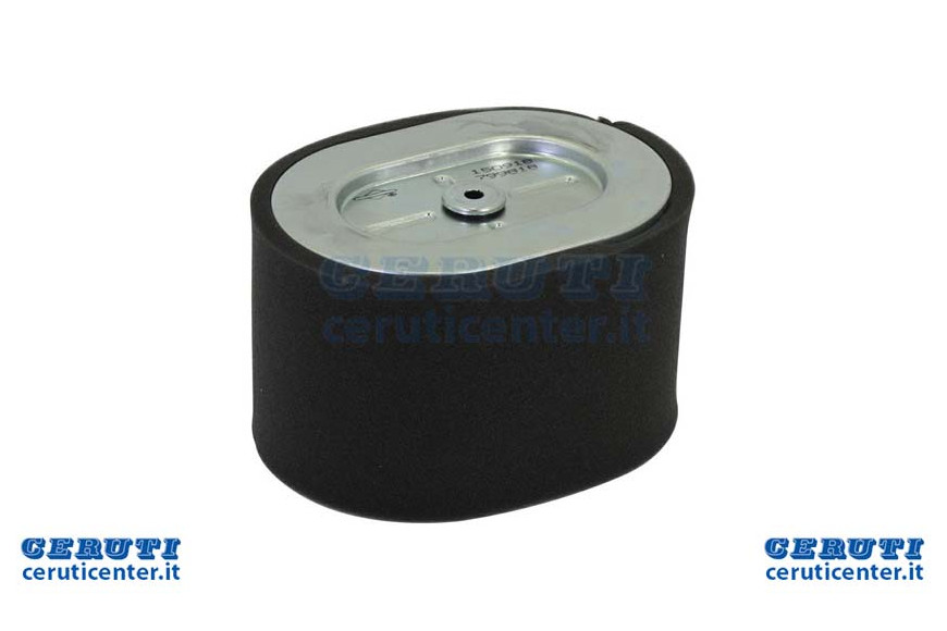 Filtre à air 310301