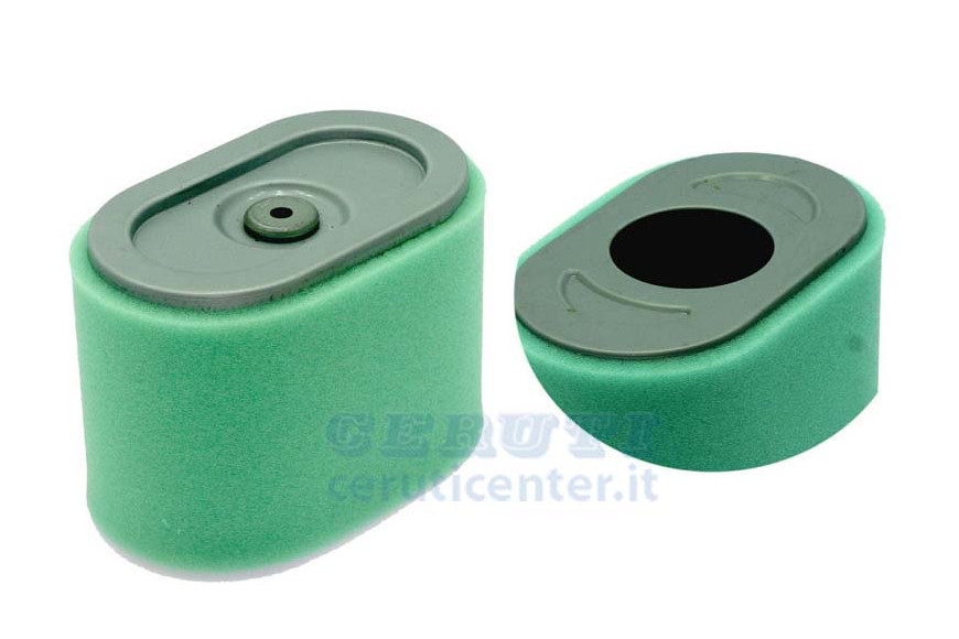 Air Filter Cpl 310498