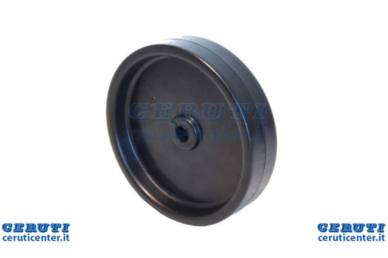 Plaque standard temporaire 6 "