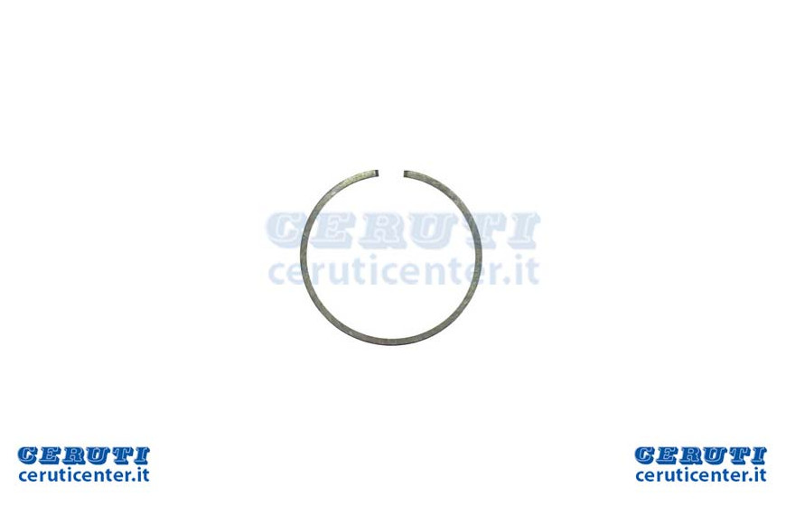 Segment D 50 369 031 70CC