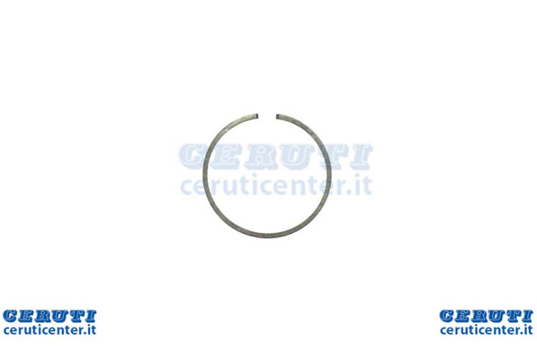 Segment D 50 369 031 70CC