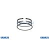 Serie Anelli  - 298174 - Originale Briggs & Stratton