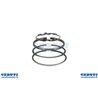 Serie Anelli  - 391654 - Originale Briggs & Stratton