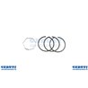 Series rings Std