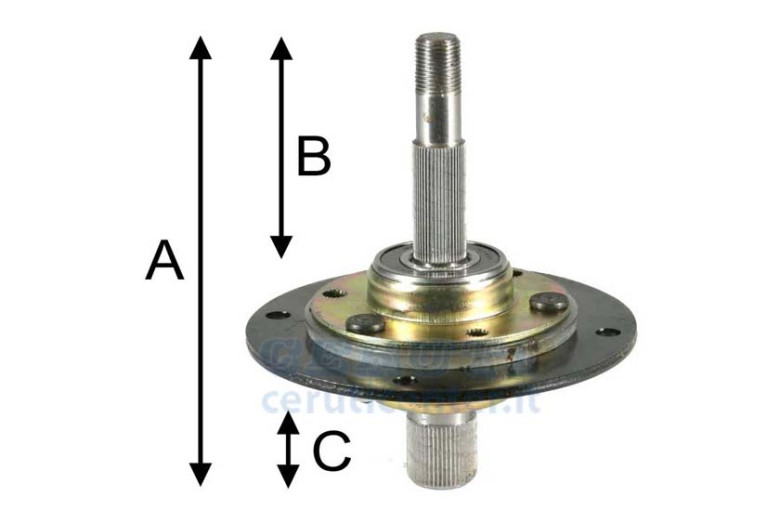 Support Porte-lame Pour le caporal Tratt. 46 « Location Sx. A 160 Mm, Mm B 99, C 53 mm
