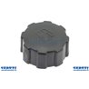 Moteur de carburant Cap tondeuses à gazon Ohv Ip60F