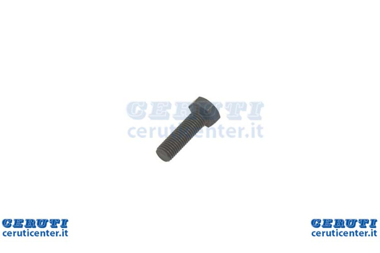 Vite 5/16 X 1" 