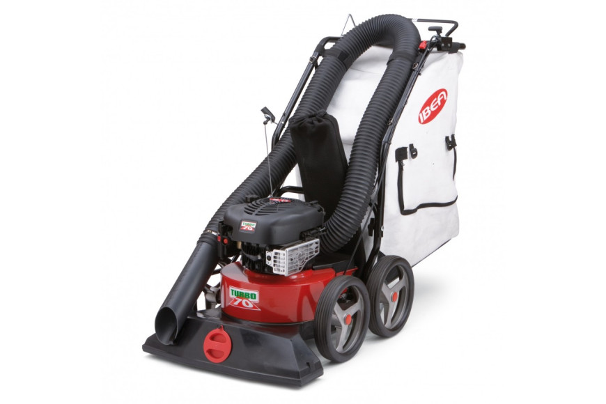 Vacuum foliage Ibea 2755