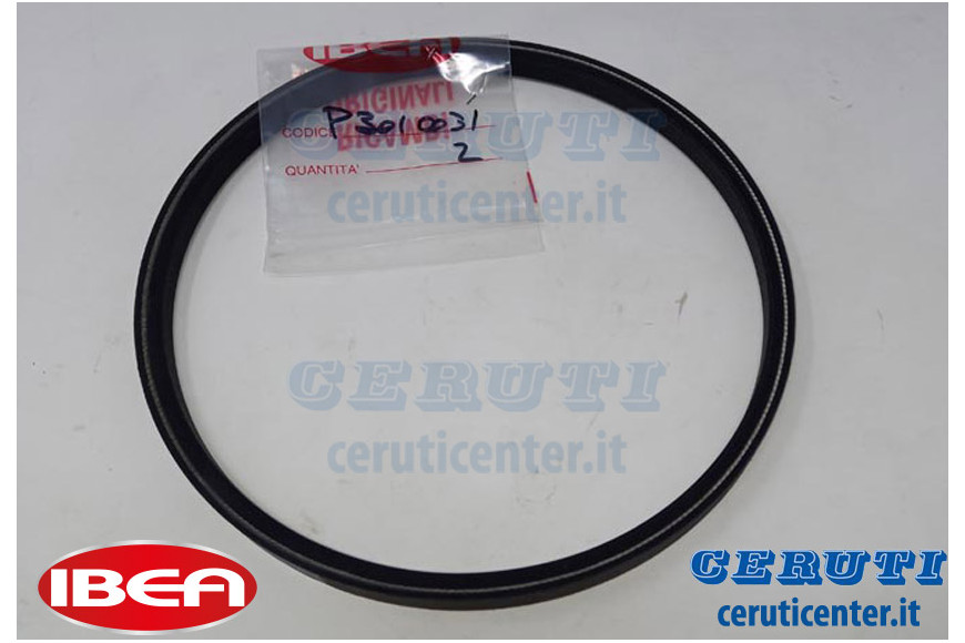 Cinghia 5Lx323 K - Originale Ibea/Active - P3010031