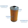 Filtro Gasolio Iseki - Originale Iseki - 1672-105-211-00