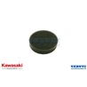 Element-Air Filter - Originale Kawasaki - 11013-2085