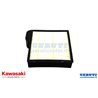 Element-Air Filter - Originale Kawasaki - 11013-2154
