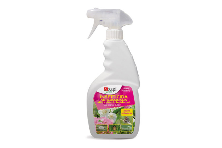 ZAPI insecticide anticocciniglia Pucerons-insectes lépidoptères Vapo pas de gaz 500 ml Prêt Utilisation Pfnpo