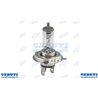 Lampada H4 12V 60/55W P43T