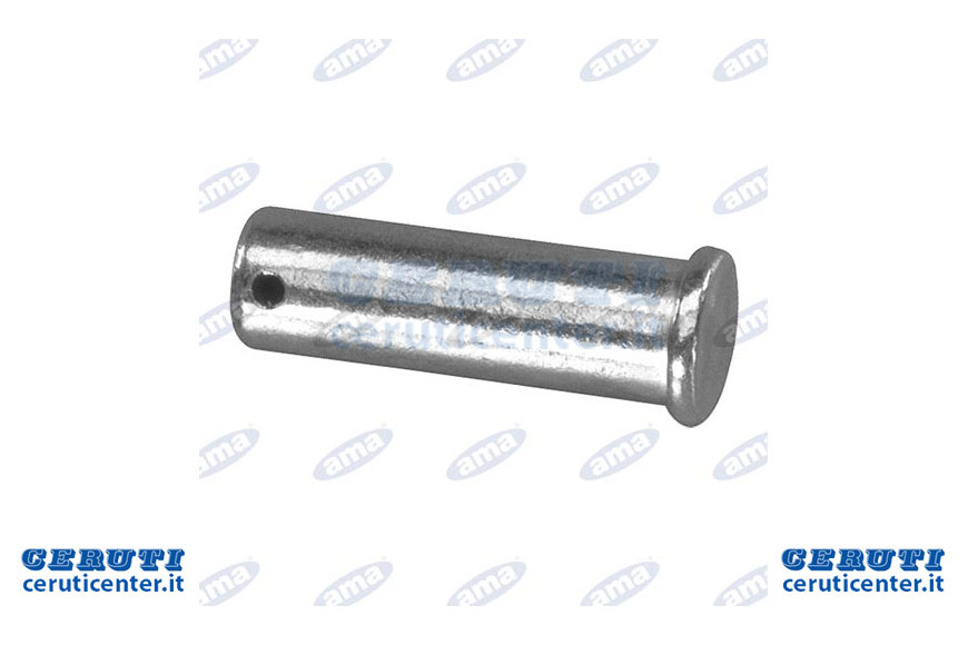 Pin Ø19 Pour Bridle 91921