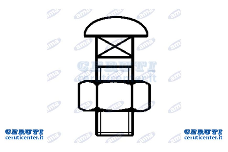 Boulon 10ma x rangh.fort-bcs