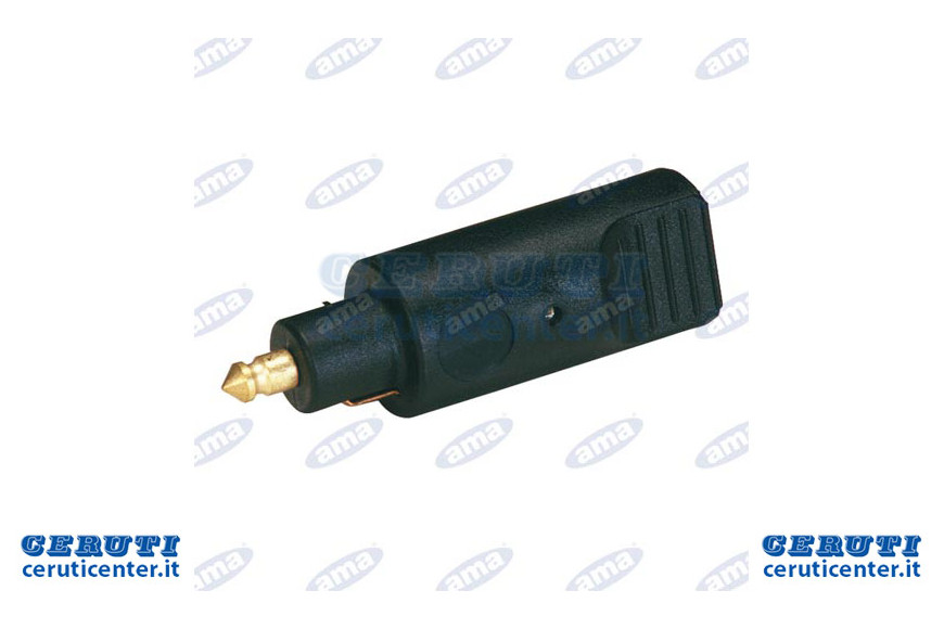 Stecker A 2 Polen