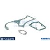 Serie Dichtungen Motor - Original Husqvarna - 577766603