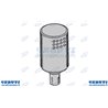 Silencer court Landini
