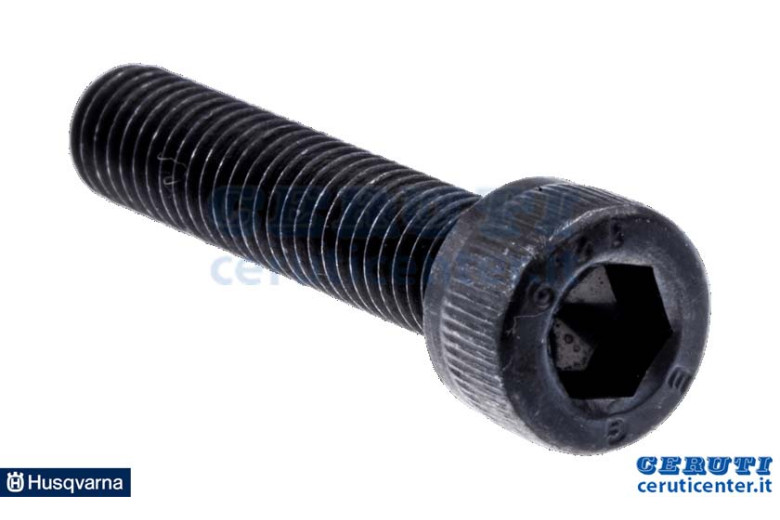 Tornillo - Husqvarna original - 576831001
