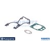 Seals Kit Series - Original Husqvarna - 576666101