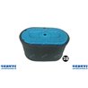 Adaptive Filter Honda