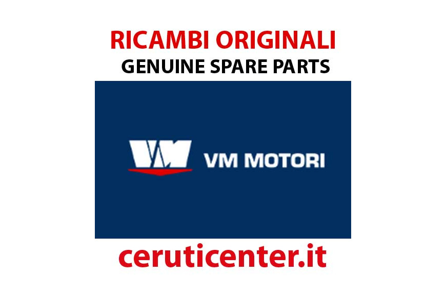 Testa Completa  - Originale VM Motori - 10352079G