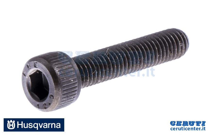 Vite Speciale T.E.I. M5X25 - Originale Husqvarna - 575841104 - sostituisce - 725533355