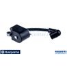 Modulo Accensione - Originale Husqvarna - 575803501