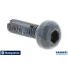 Vite Itxpanm - 575793501 - Originale Husqvarna