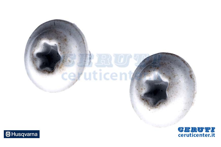 Vite 6Mm - Originale Husqvarna - 575543306