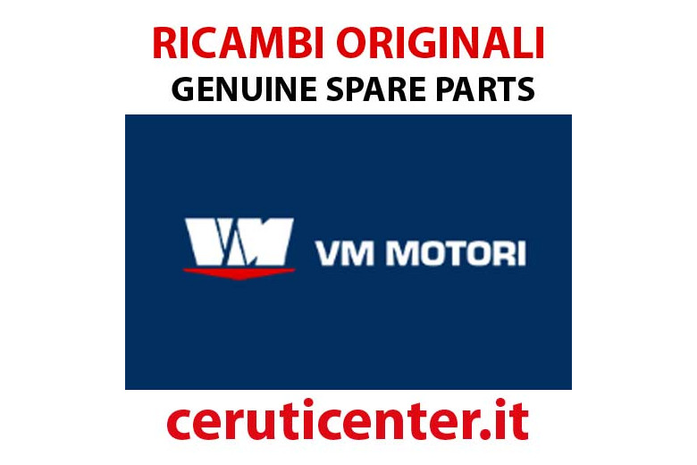 Vite   - Originale VM Motori - 41762030F