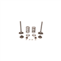 Valve Kit - 590971701 - Originale McCulloch