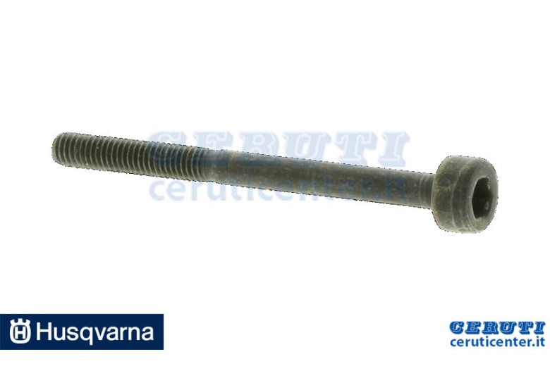 Vergaser Prisoner - Original Husqvarna - 574353503