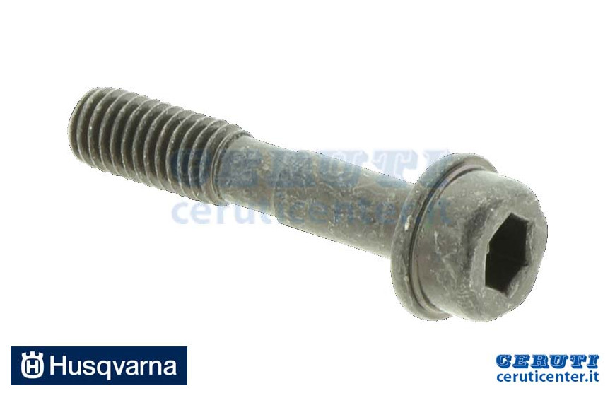 Vite - Originale Husqvarna - 573994304