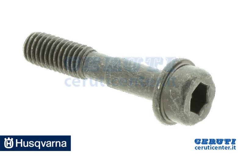 Vite - Originale Husqvarna - 573994304