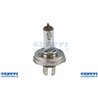 Lampada H4 12V 60/55W P45T