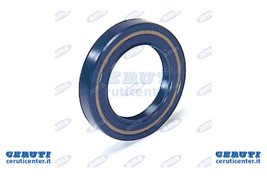 Ba anillo 40X62X10