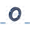 Anello Basl 70X100X10