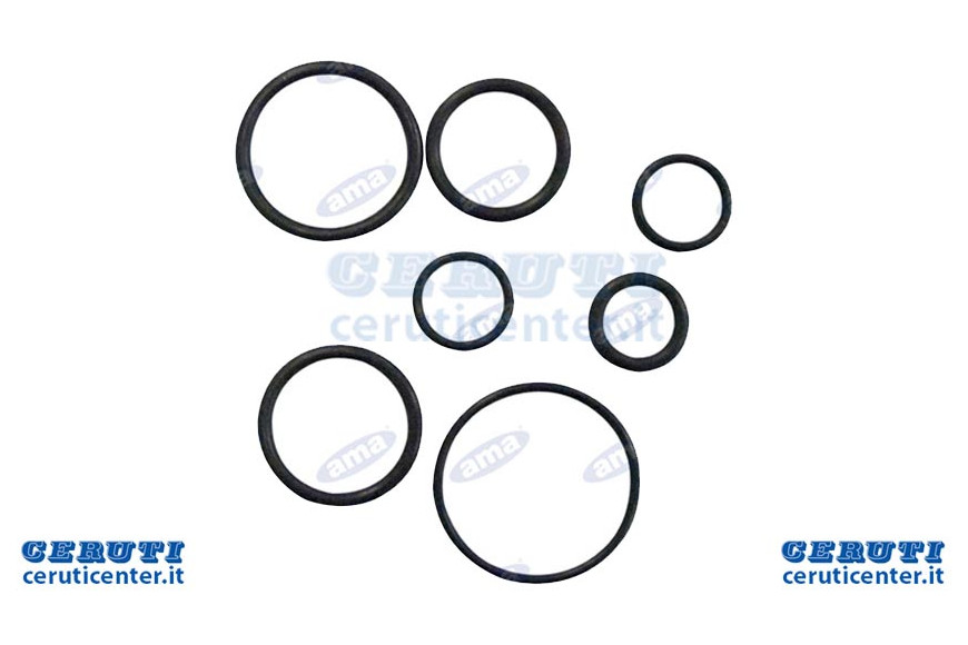 Kit Guarnizioni Per Pompe A Mano Da 25Cc - Ama