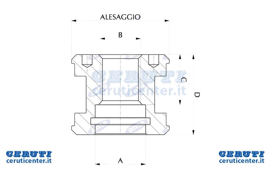 Pistone Al.65 Fil.24X2 L.50