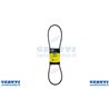 Cinghia Standard Avx10 1175 - Ama