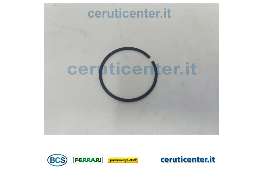 Sicherheitsring Sic Wr45 - BCS Original -  F0801331150