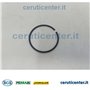 Sicherheitsring Sic Wr45 - BCS Original -  F0801331150