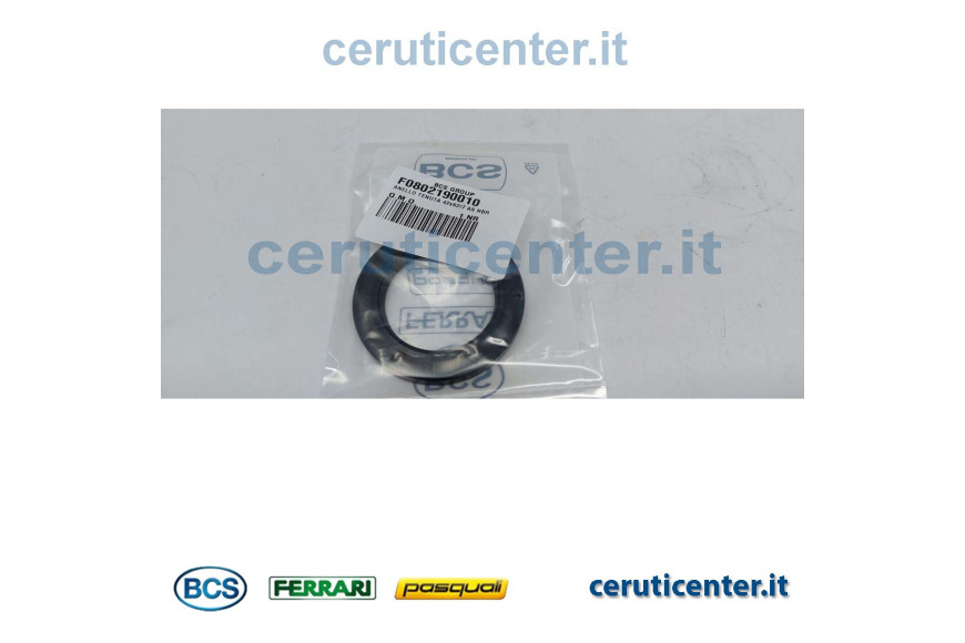 Seal 42X62/7 - BCS genuine -  F0802190010